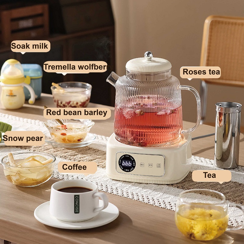 Bollitore Elettrico Intelligen - Herbal Tea For Wellness recensione e prezzo